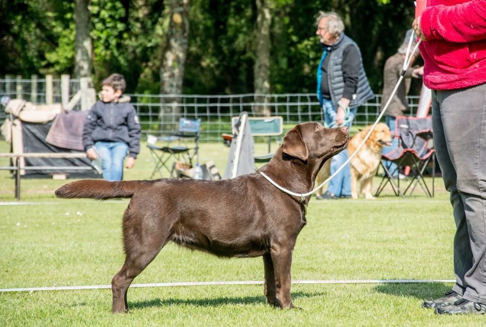 Miss moneypenny des Landes d'Eole